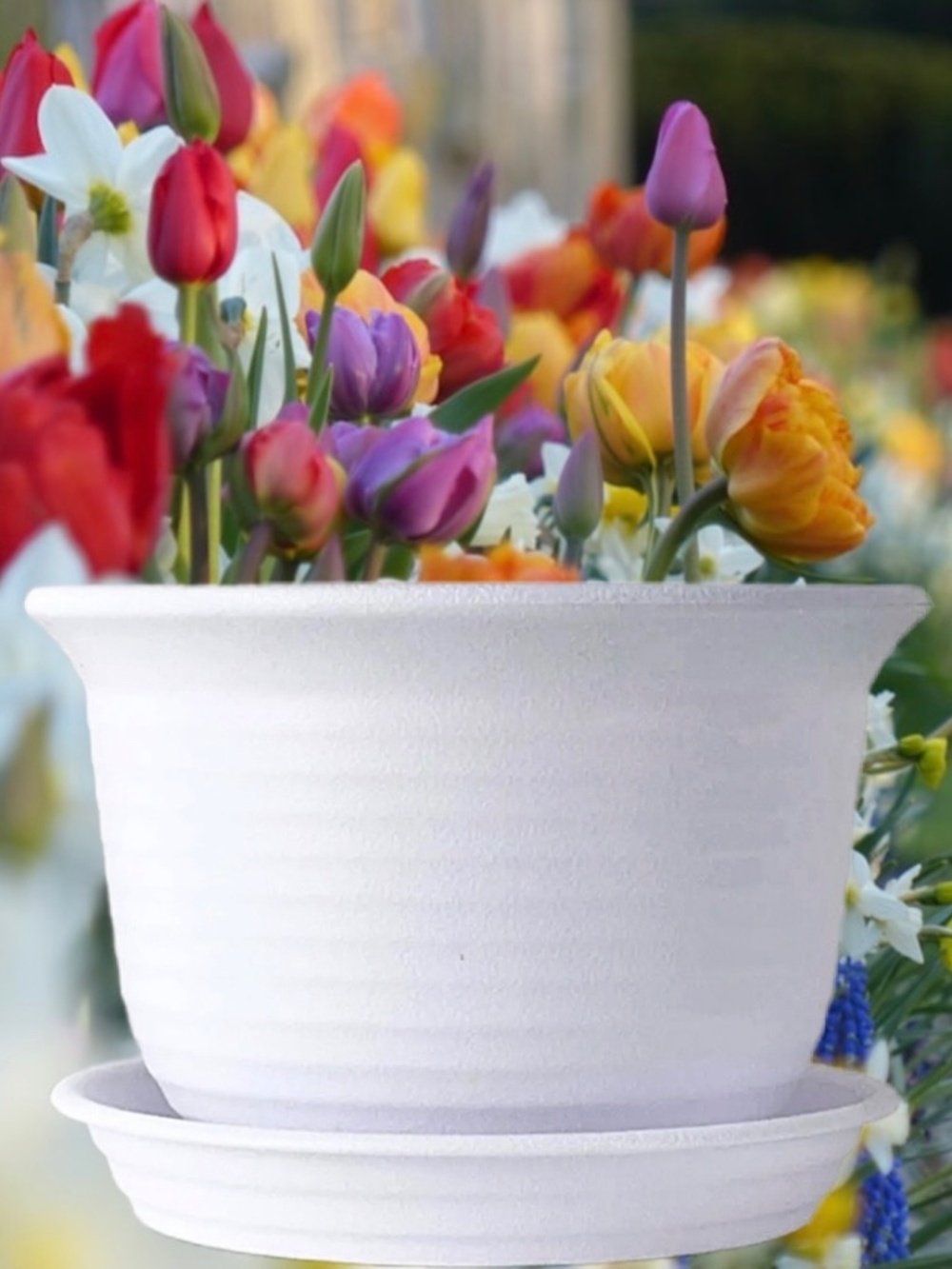 6” Plastic Round Drainage Plant Pot Saucer Tray White Outdoor Indoor flowers